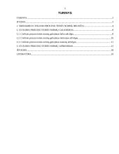 Civilinio proceso teisės normų ypatumai 2 puslapis