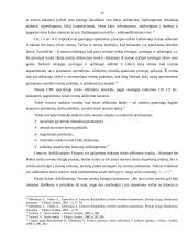 Civilinio proceso teisės normų ypatumai 15 puslapis