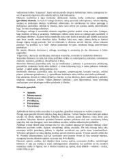 Dėmesys žmogui 7 puslapis