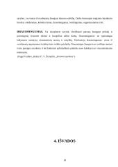 Dorybės fenomenas pilietiškumo sampratoje 18 puslapis