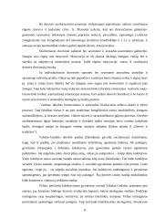 Dorybės fenomenas pilietiškumo sampratoje 8 puslapis