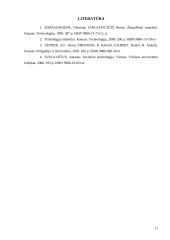 Efektyvaus bendravimo principai 11 puslapis