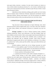 Efektyvaus bendravimo principai 7 puslapis