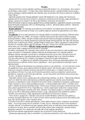 Europos Sąjungos pilietybė bei laisvas asmenų judėjimas 10 puslapis