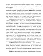 Grožis ir vertybės Platono filosofijoje 3 puslapis