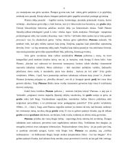 Grožis ir vertybės Platono filosofijoje 4 puslapis