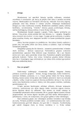 Grupės ir bendravimas jose 3 puslapis
