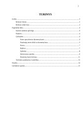 Grupinio darbo sistemos Lotus Notes/Domino duomenų bazių analizė 2 puslapis