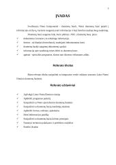 Grupinio darbo sistemos Lotus Notes/Domino duomenų bazių analizė 3 puslapis