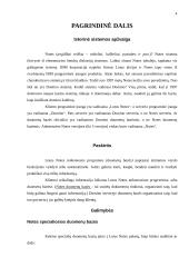 Grupinio darbo sistemos Lotus Notes/Domino duomenų bazių analizė 4 puslapis