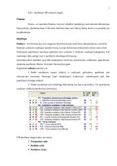 Grupinio darbo sistemos Lotus Notes/Domino duomenų bazių analizė 7 puslapis