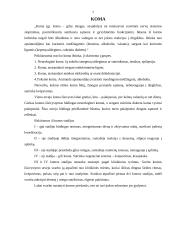 Hipnozė, priešmirtiniai išgyvenimai, komos būsena 7 puslapis