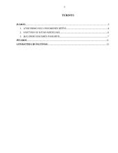 Į nusikaltėlio atskyrimą nuo visuomenės orientuoto baudžiamojo teisingumo modelis 2 puslapis