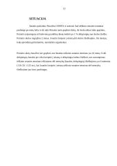 Ieškinio senaties svarba civilinėje teisėje 12 puslapis