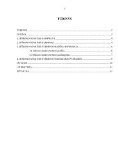 Ieškinio senaties svarba civilinėje teisėje 2 puslapis