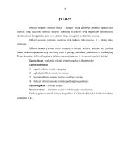 Ieškinio senaties svarba civilinėje teisėje 3 puslapis