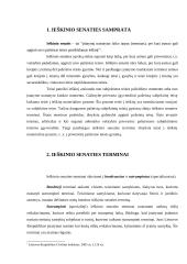 Ieškinio senaties svarba civilinėje teisėje 4 puslapis