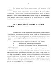 Ieškinio senaties svarba civilinėje teisėje 6 puslapis