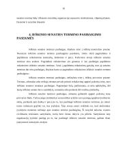 Ieškinio senaties svarba civilinėje teisėje 9 puslapis