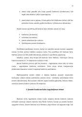 Įmonių bankroto procesas 14 puslapis