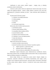 Įmonių rūšys ir jų junginiai 4 puslapis