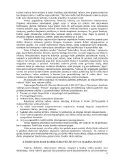 Individas grupėje 7 puslapis