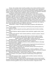 Individualizuotos programos ir jų rengimo ypatumai 7 puslapis
