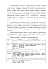 Informacijos ir komunikacijos technologijos priemonės 3 puslapis