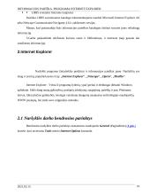 Informacijos paieška. Programa Internet Explorer 16 puslapis