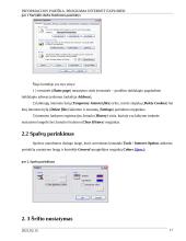 Informacijos paieška. Programa Internet Explorer 17 puslapis
