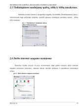 Informacijos paieška. Programa Internet Explorer 19 puslapis