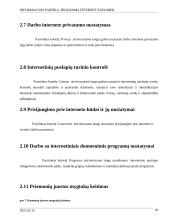 Informacijos paieška. Programa Internet Explorer 20 puslapis