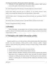 Informacijos paieška. Programa Internet Explorer 7 puslapis