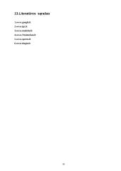 Informacijos šaltiniai bei saugyklos 16 puslapis