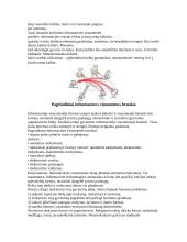 Informacinė visuomenė ir technologijos 4 puslapis