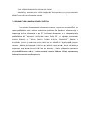 Informacinės sistemos: AB "Lietuvos geležinkeliai" 19 puslapis