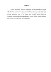 Informacinės sistemos: AB "Lietuvos geležinkeliai" 20 puslapis