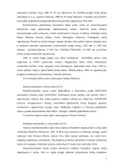 Informacinės sistemos: AB "Lietuvos geležinkeliai" 6 puslapis