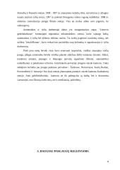 Informacinės sistemos: AB "Lietuvos geležinkeliai" 7 puslapis