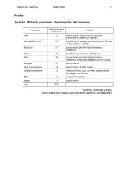 Informacinių technologijų paslaugos 16 puslapis