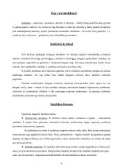 Intelektas, intelekto tyrimai, formos 2 puslapis