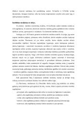 Intelektas (apibrėžimas, struktūra, rūšys) 2 puslapis