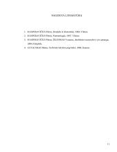Intelektinė nuosavybė pramonėje 11 puslapis
