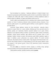 Intelekto samprata psichologijoje 2 puslapis