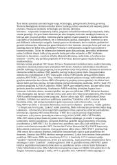 Internetas — vartai į pasaulį 3 puslapis