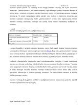 Internetas. Interneto prisijungimo būdai 11 puslapis