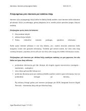 Internetas. Interneto prisijungimo būdai 13 puslapis