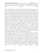 Internetas. Interneto prisijungimo būdai 8 puslapis