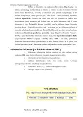 Internetas. Populiarios paslaugos internete 12 puslapis