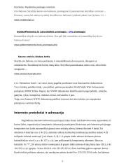 Internetas. Populiarios paslaugos internete 6 puslapis